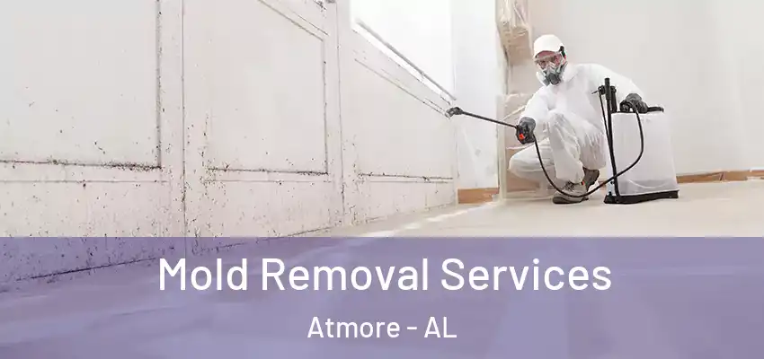  Mold Removal Services Atmore - AL
