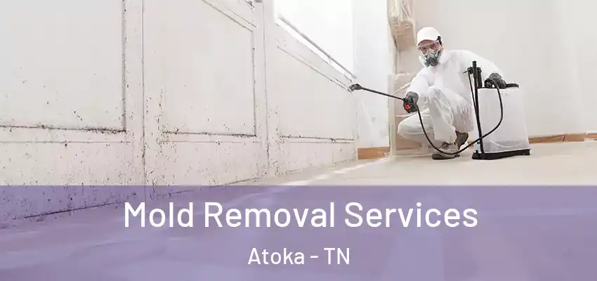  Mold Removal Services Atoka - TN