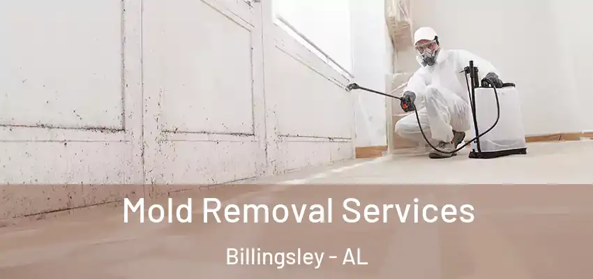 Mold Removal Services Billingsley - AL