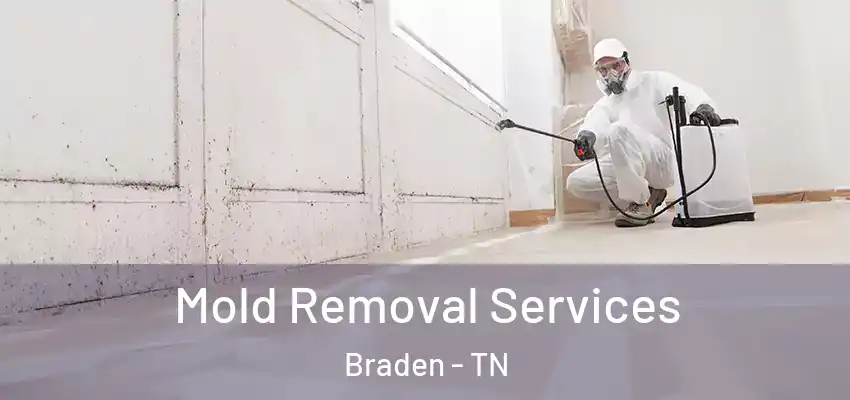  Mold Removal Services Braden - TN