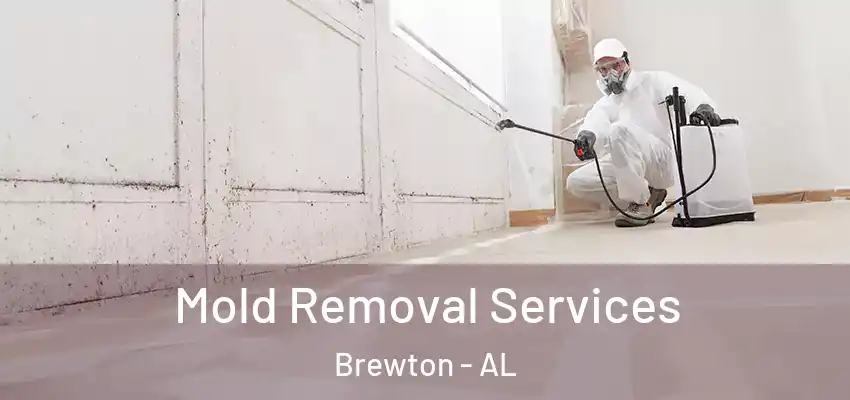  Mold Removal Services Brewton - AL
