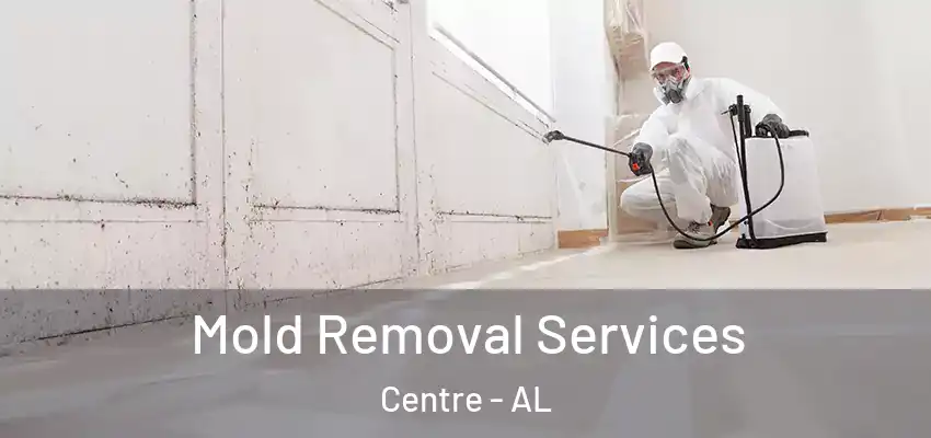 Mold Removal Services Centre - AL