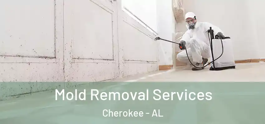  Mold Removal Services Cherokee - AL