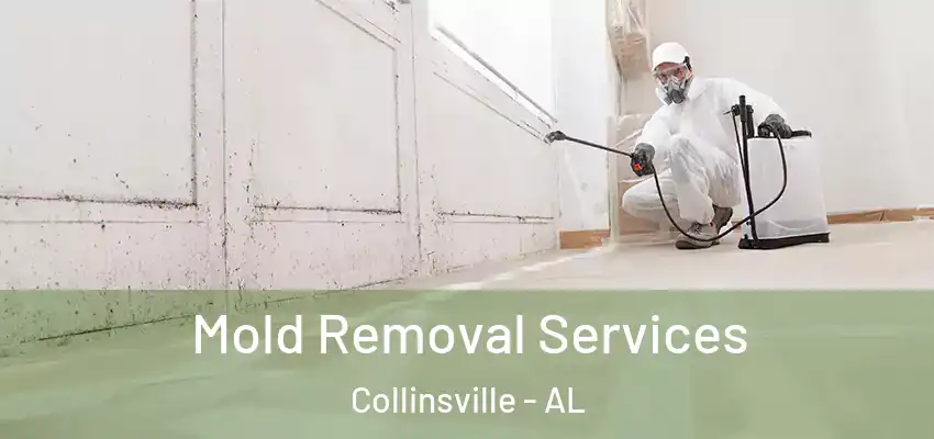 Mold Removal Services Collinsville - AL