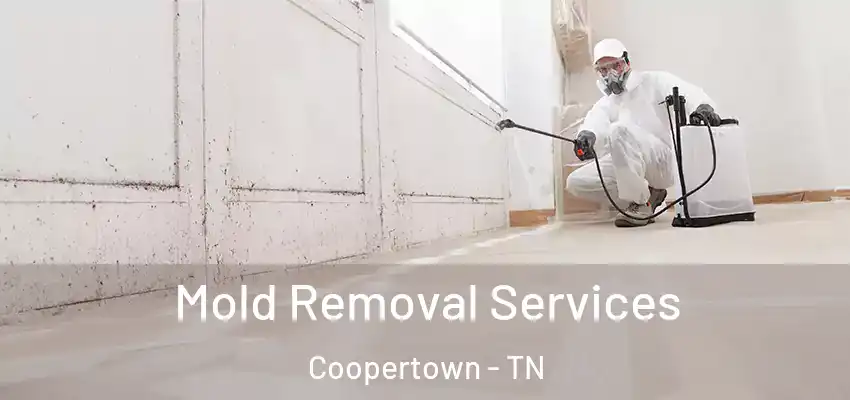 Mold Removal Services Coopertown - TN