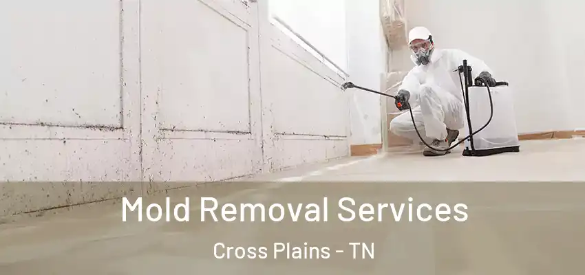  Mold Removal Services Cross Plains - TN
