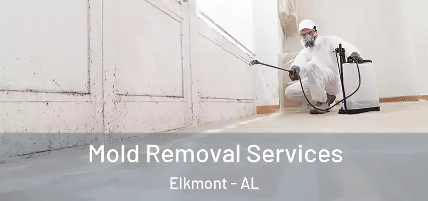  Mold Removal Services Elkmont - AL