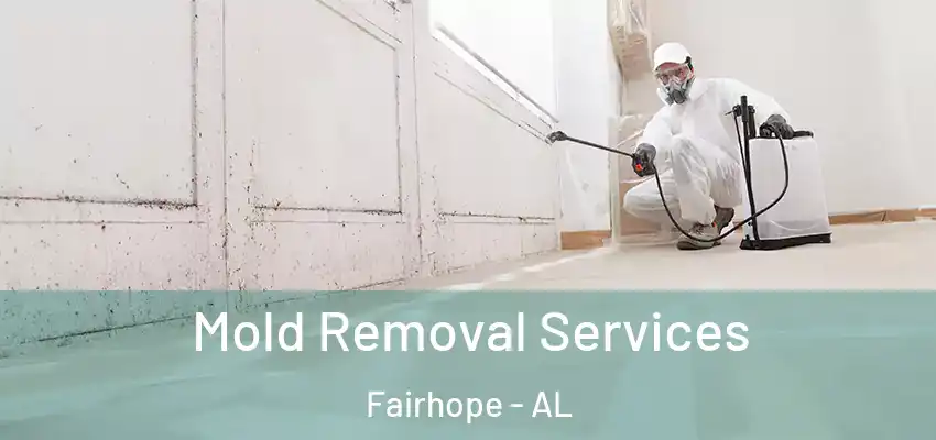  Mold Removal Services Fairhope - AL