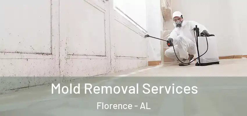 Mold Removal Services Florence - AL