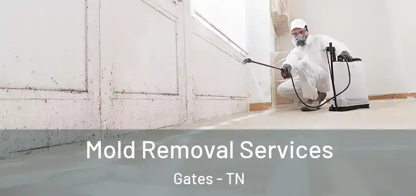  Mold Removal Services Gates - TN