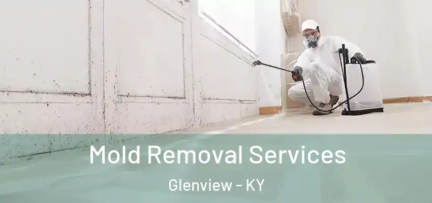 Mold Removal Services Glenview - KY