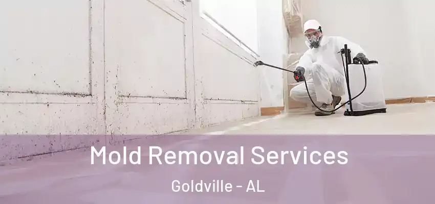  Mold Removal Services Goldville - AL