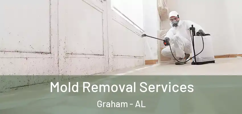  Mold Removal Services Graham - AL