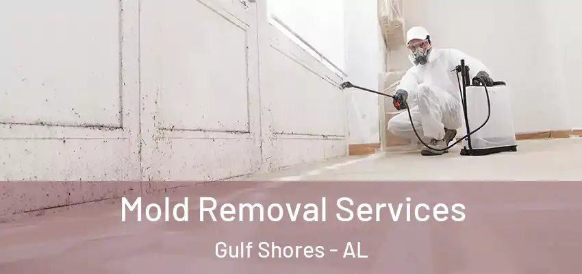  Mold Removal Services Gulf Shores - AL