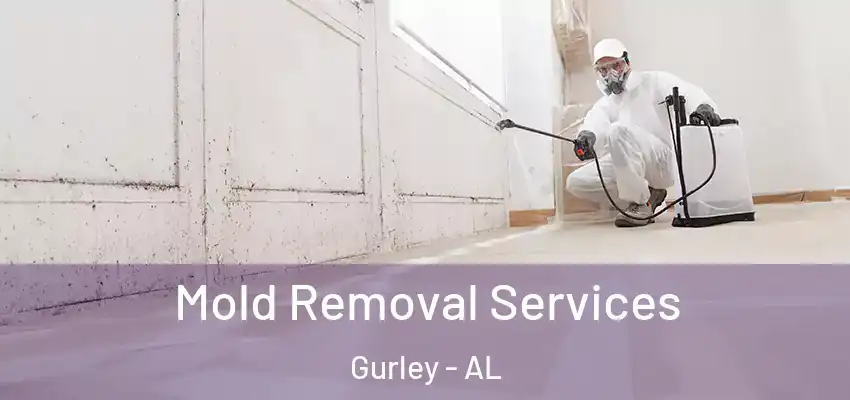 Mold Removal Services Gurley - AL