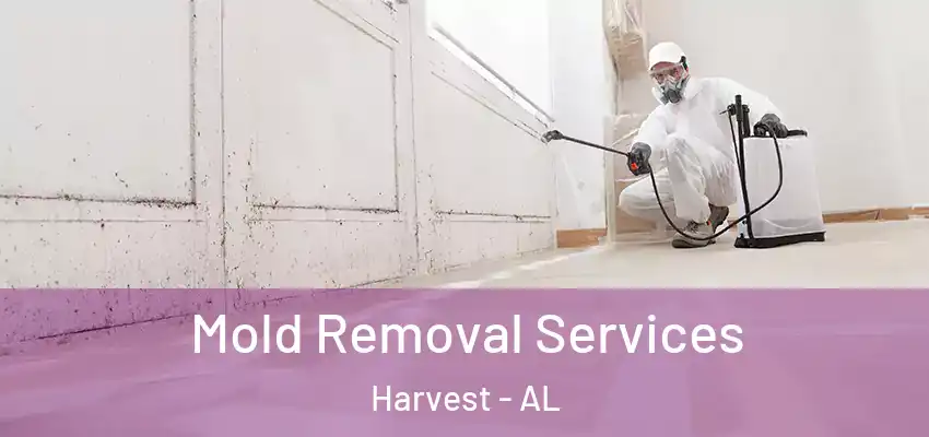  Mold Removal Services Harvest - AL
