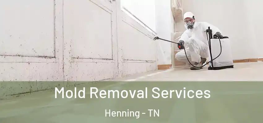  Mold Removal Services Henning - TN