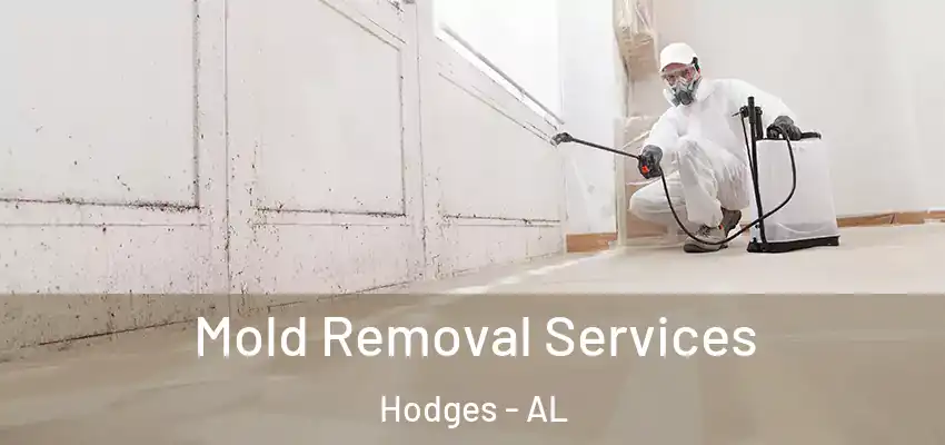  Mold Removal Services Hodges - AL