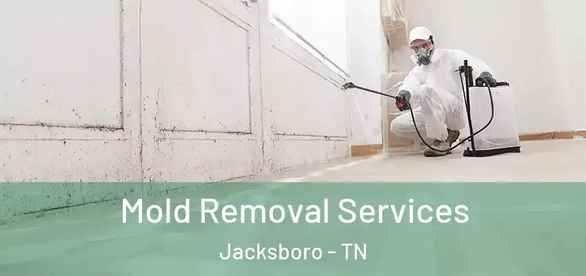 Mold Removal Services Jacksboro - TN
