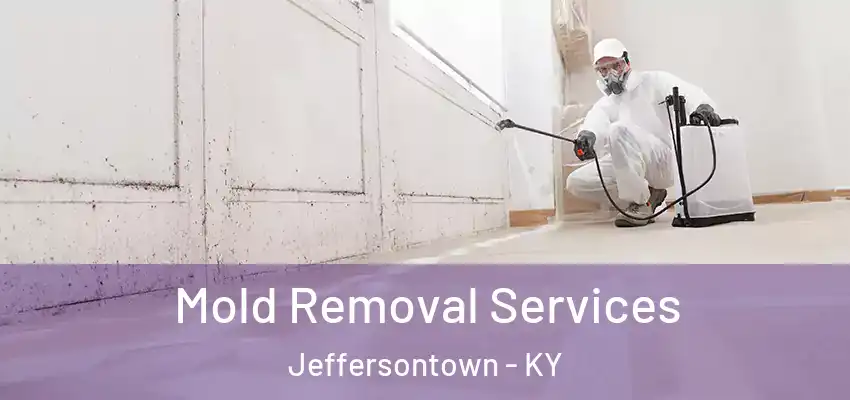 Mold Removal Services Jeffersontown - KY