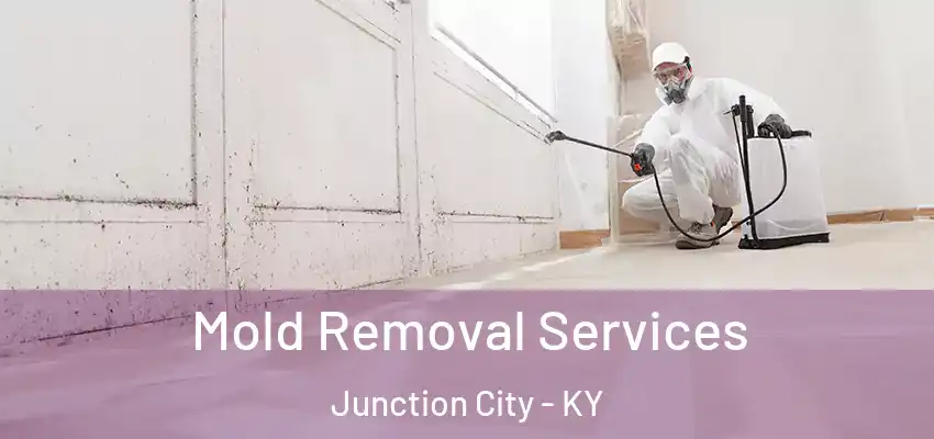  Mold Removal Services Junction City - KY