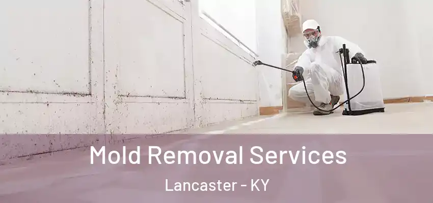 Mold Removal Services Lancaster - KY