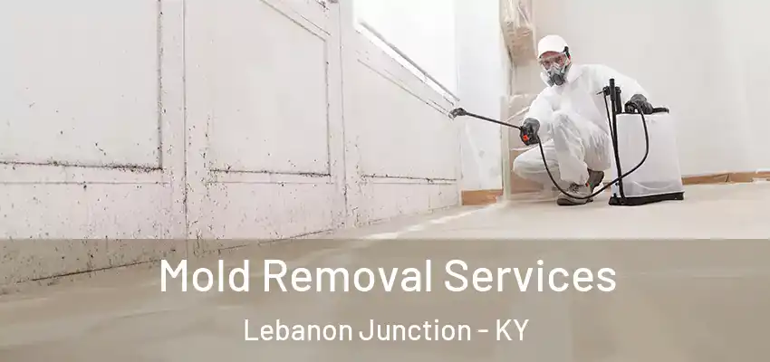  Mold Removal Services Lebanon Junction - KY