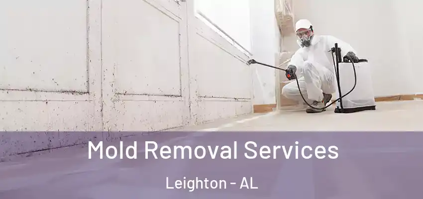 Mold Removal Services Leighton - AL