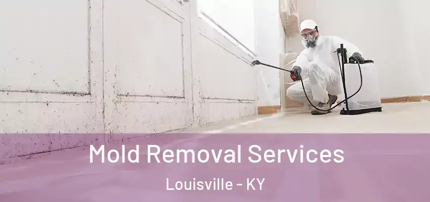  Mold Removal Services Louisville - KY
