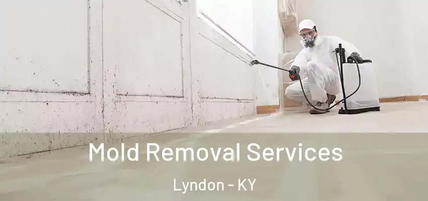 Mold Removal Services Lyndon - KY