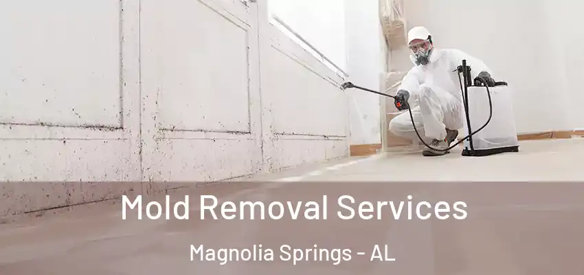  Mold Removal Services Magnolia Springs - AL