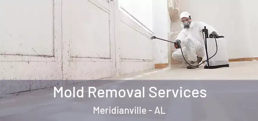 Mold Removal Services Meridianville - AL