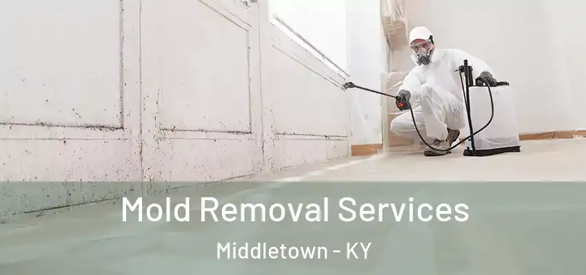  Mold Removal Services Middletown - KY