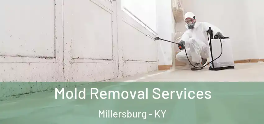 Mold Removal Services Millersburg - KY