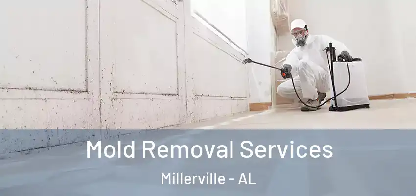  Mold Removal Services Millerville - AL