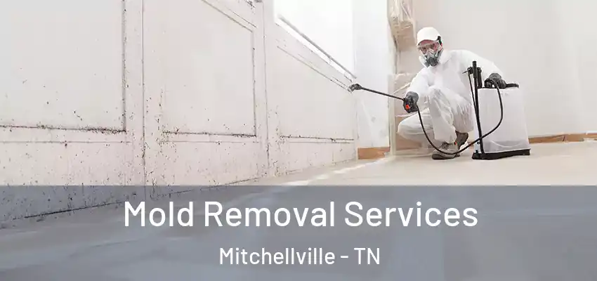 Mold Removal Services Mitchellville - TN