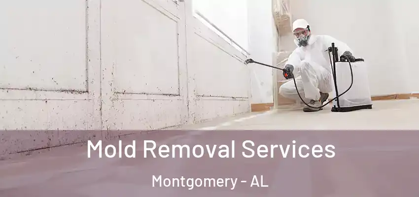 Mold Removal Services Montgomery - AL