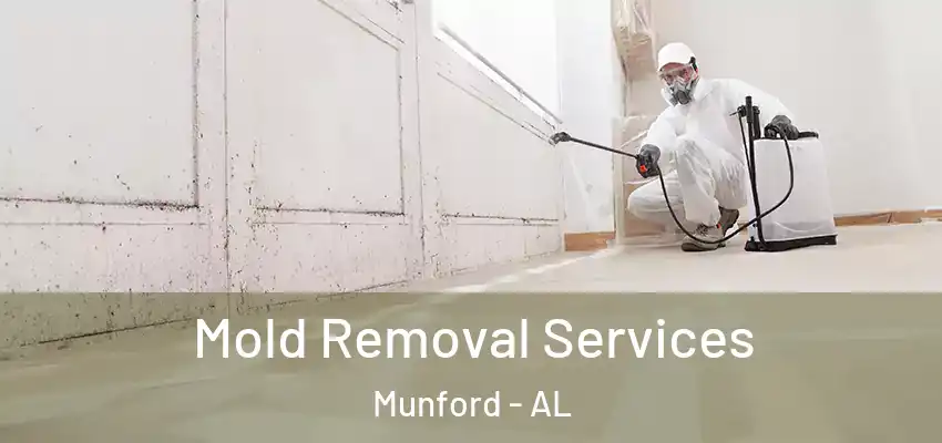 Mold Removal Services Munford - AL