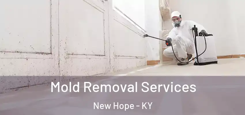 Mold Removal Services New Hope - KY