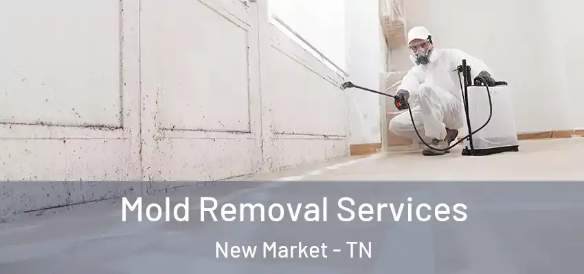  Mold Removal Services New Market - TN