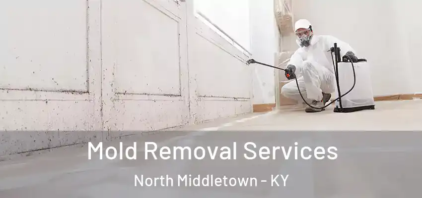 Mold Removal Services North Middletown - KY