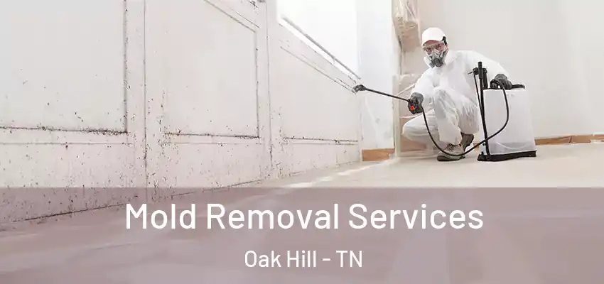  Mold Removal Services Oak Hill - TN