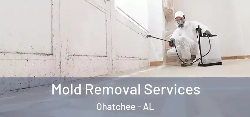  Mold Removal Services Ohatchee - AL