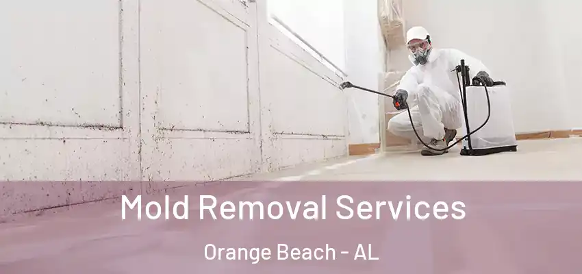  Mold Removal Services Orange Beach - AL