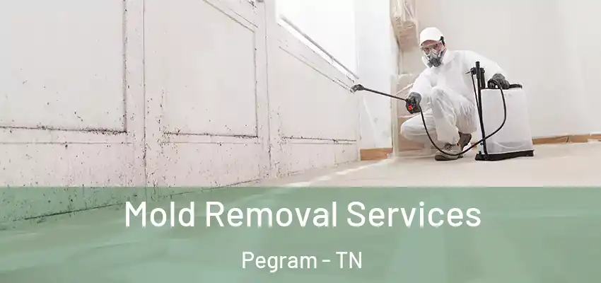 Mold Removal Services Pegram - TN