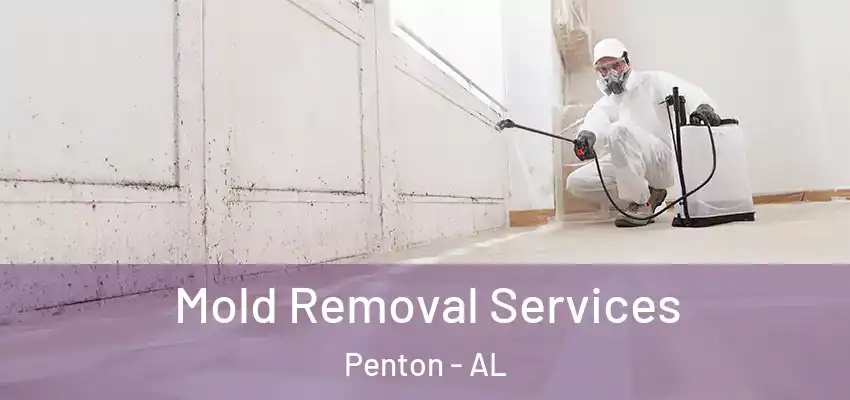 Mold Removal Services Penton - AL