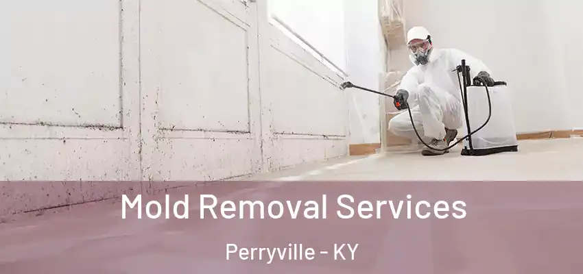  Mold Removal Services Perryville - KY