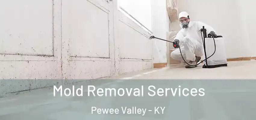 Mold Removal Services Pewee Valley - KY