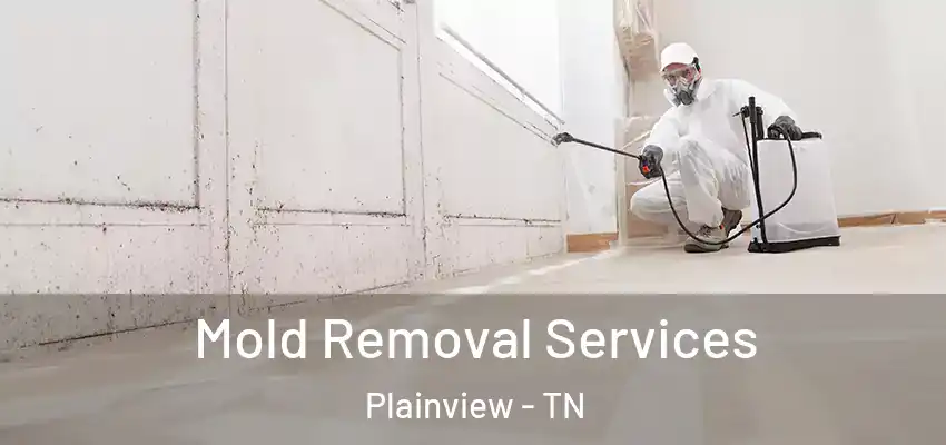  Mold Removal Services Plainview - TN