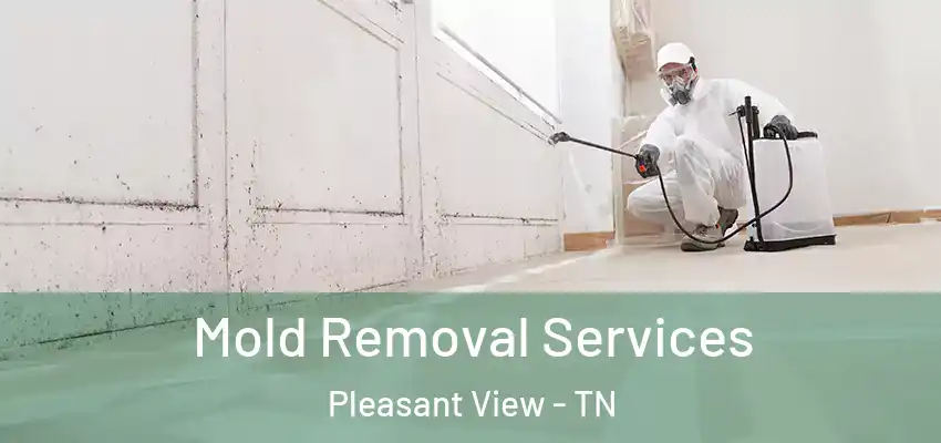 Mold Removal Services Pleasant View - TN